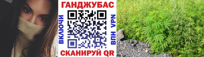 Конопля ГИДРОПОН Иланский